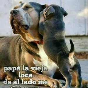 Meet your Posher, Carlos